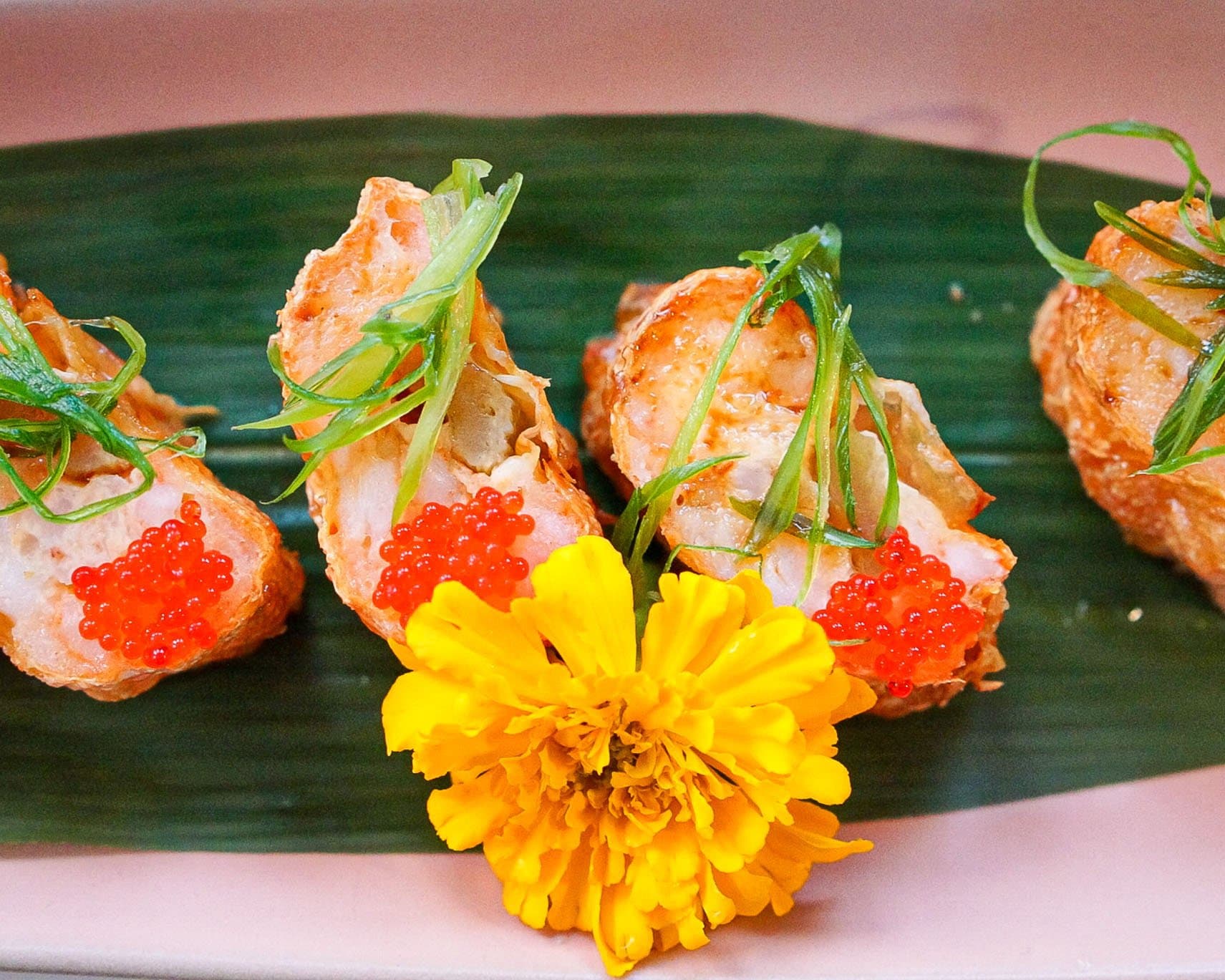 Where to Find the Best Starters in Miami